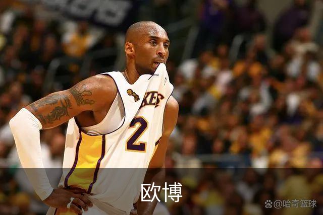 欧博公司介绍